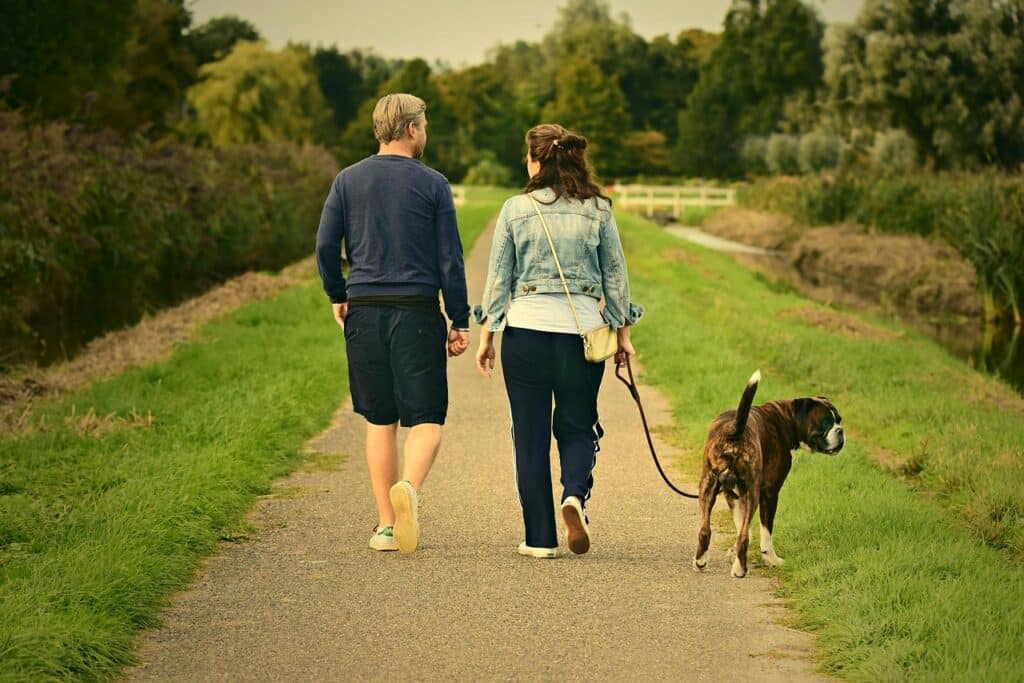couple, love, outdoors, walking, pair, dog, animal, mammal, canine, pet, man, male, nature, boy, woman, female, girl, romance, relationship, together, joy, happiness