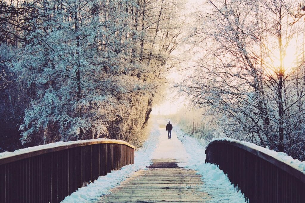 man, bridge, lonely, to stroll, walk, winter landscape, winter, landscape, snow, snowy, wintry, winter magic, evening sky, cold, frozen, frost, winter's day, white, germany, icy, covered in snow, snowed in, nature, trees, winter dream, fairytale, winter mood, snow magic, snow landscape, quiet, alone, abandoned, lighting mood, winter forest, romantic, mood, dusk, bright, sunlight, winter, winter, winter, winter, winter, snow, snow, alone