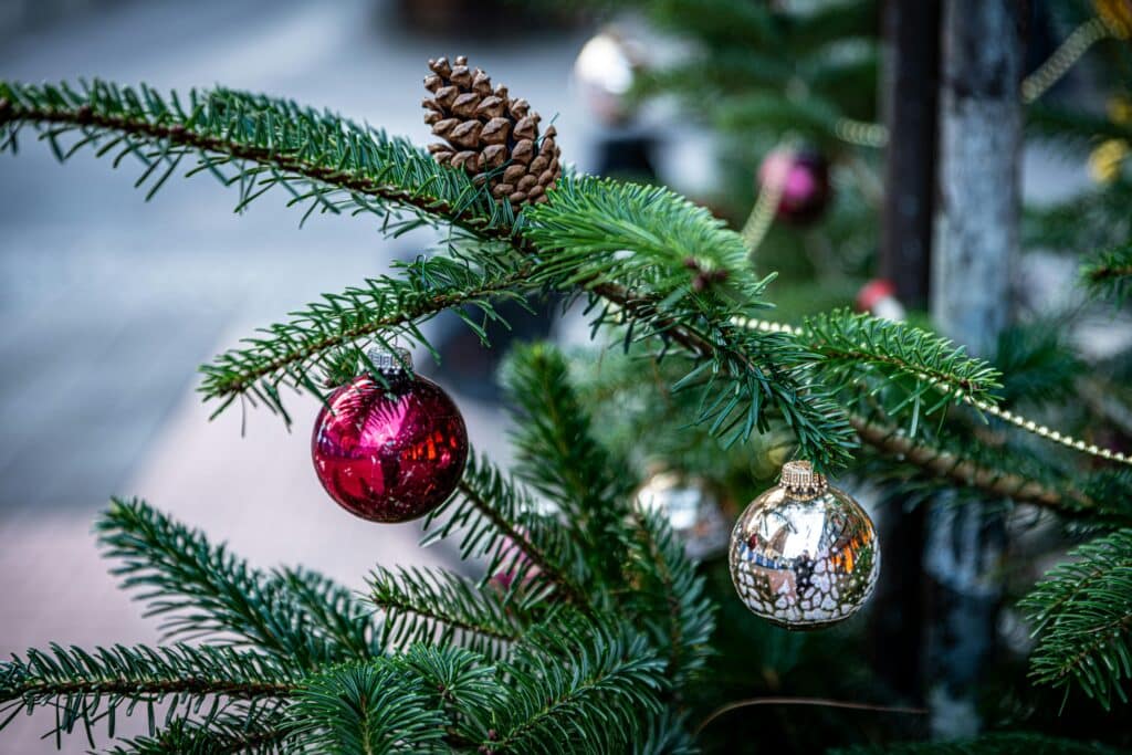 Close-up of a Christmas tree with ornaments and a pine cone, capturing the festive holiday spirit.