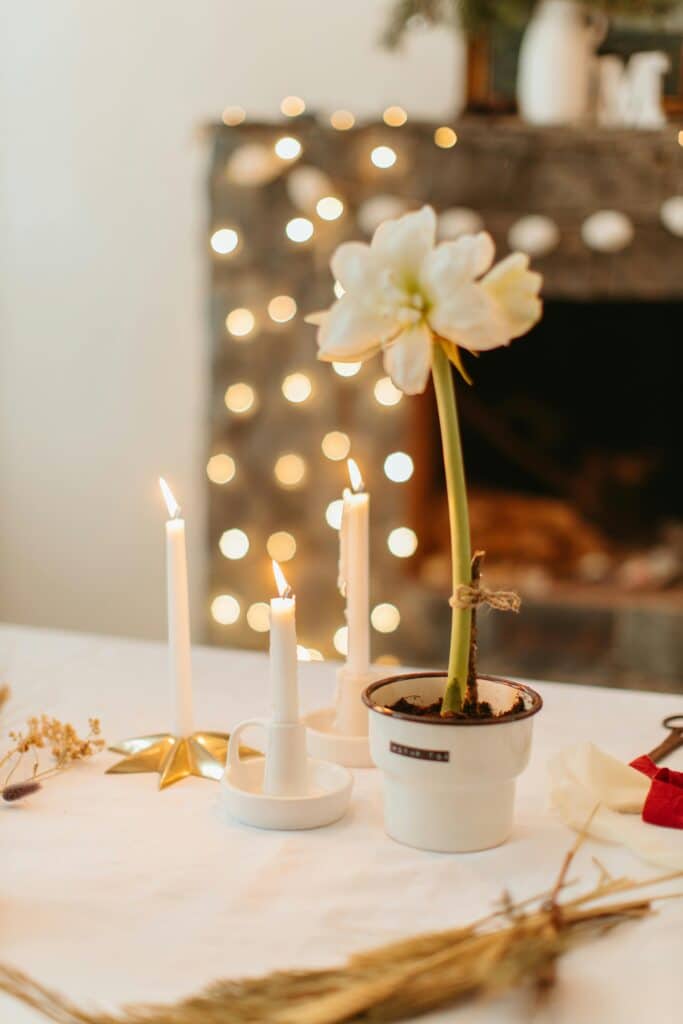 Cozy holiday setting with blooming amaryllis, candles, and festive decorations.