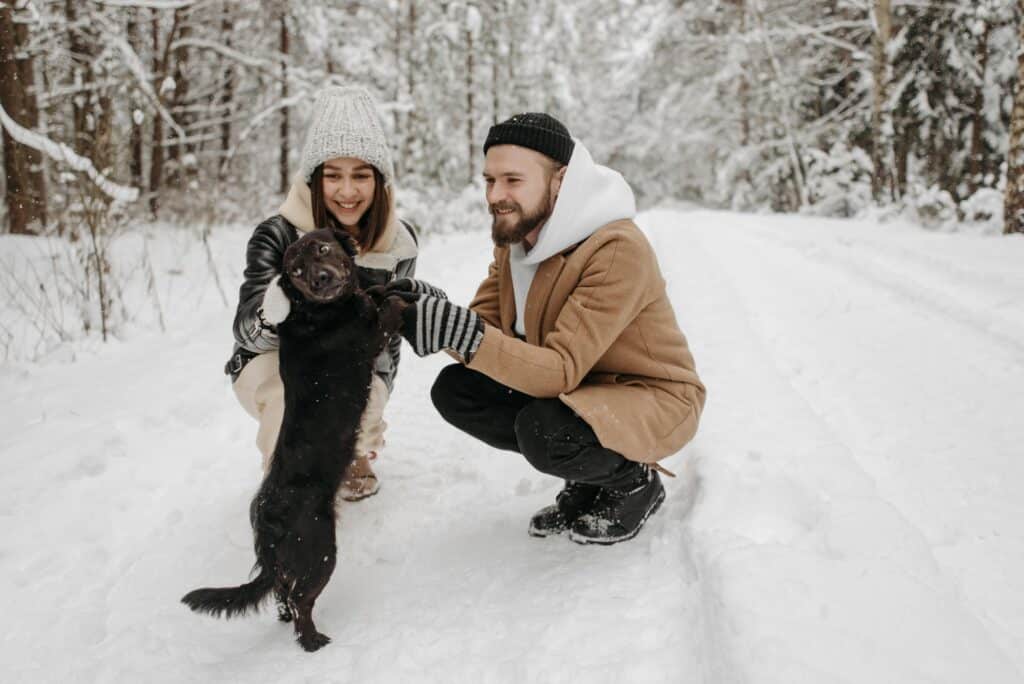 A joyful couple playing with their black dog in a snowy forest, capturing winter fun and companionship.
