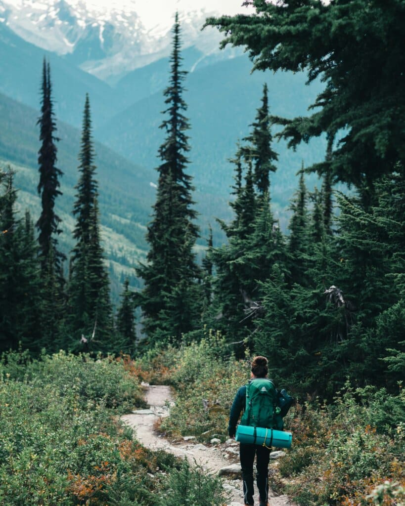A lone hiker treks through a forest trail with mountains in view.